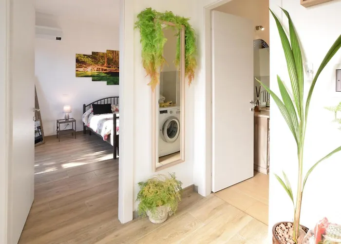 Appartement Stunning In